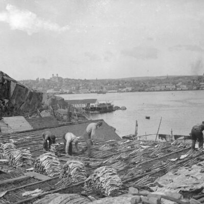 J. D. Rogers, Newfoundland