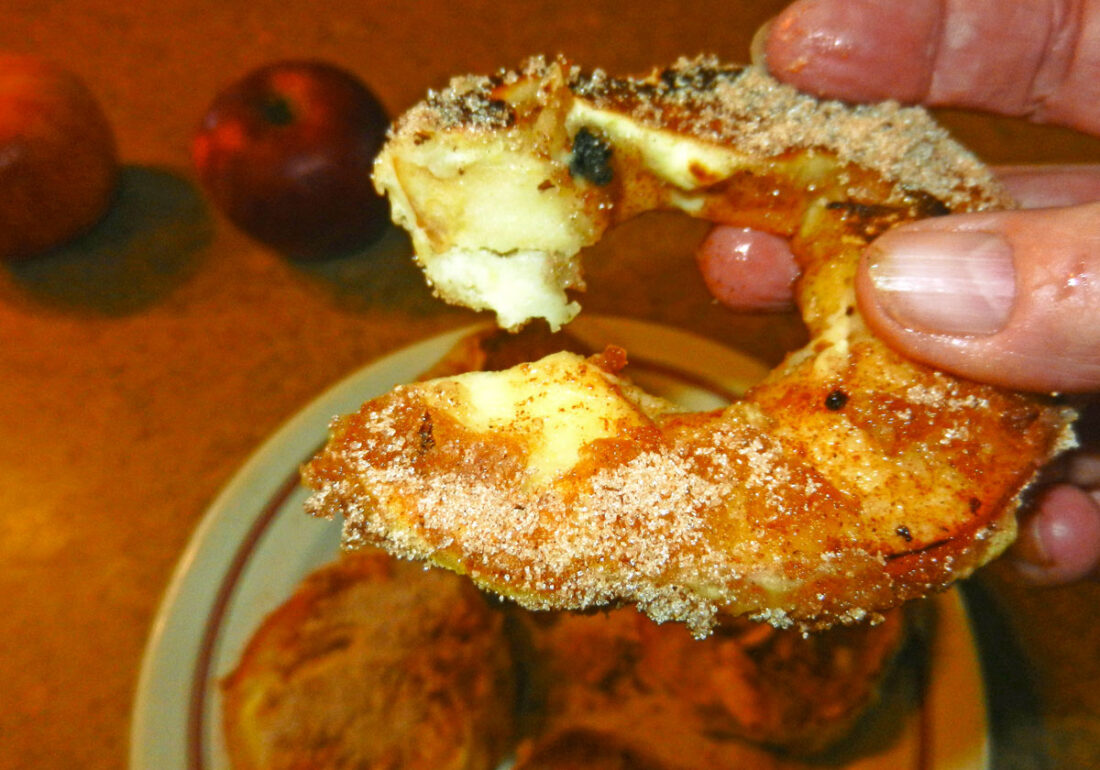 apple-fritter-ring-photo-d-stewart