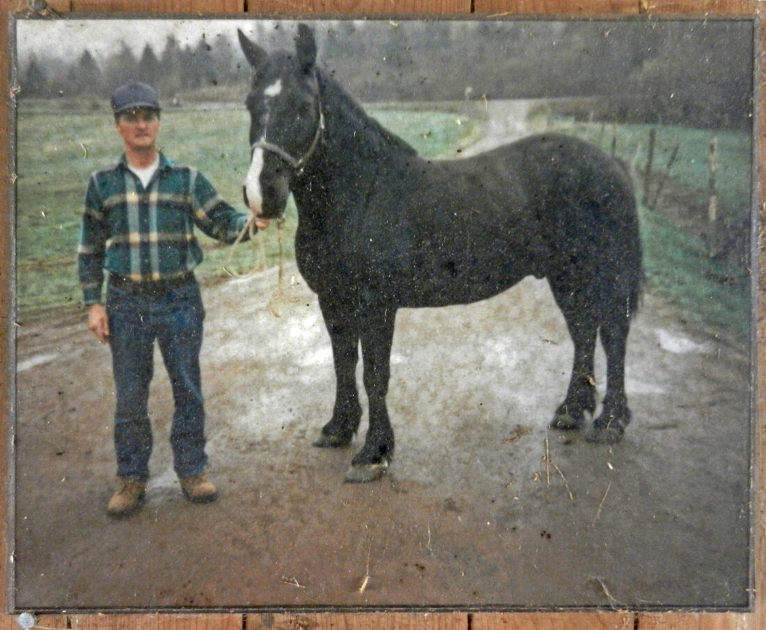 barney-1980s. barney-1980s.