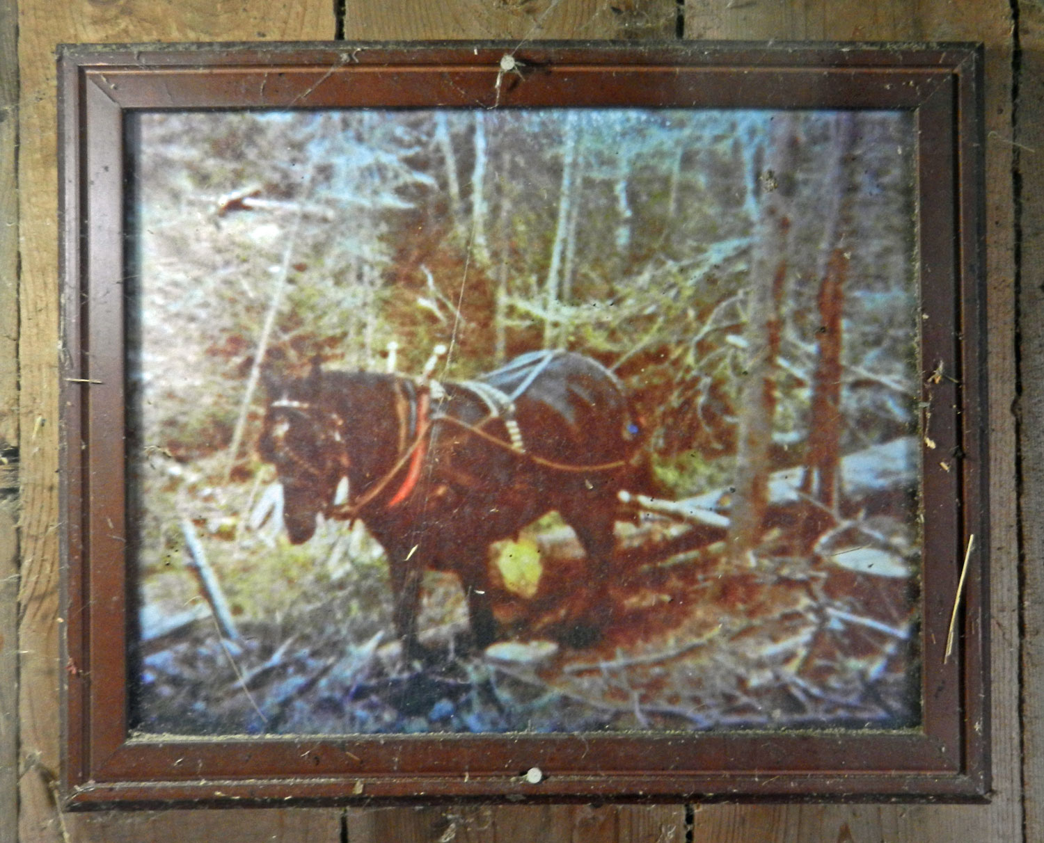 Horse of Iron