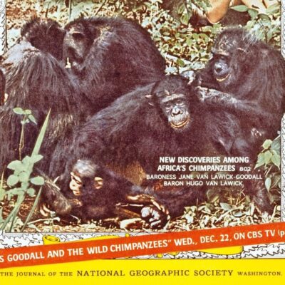 Jane Goodall 1934-2025