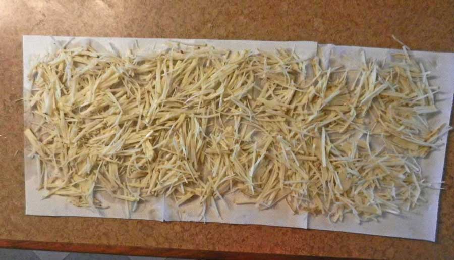 potato-straws-on-paper-towels-photo-d-stewart