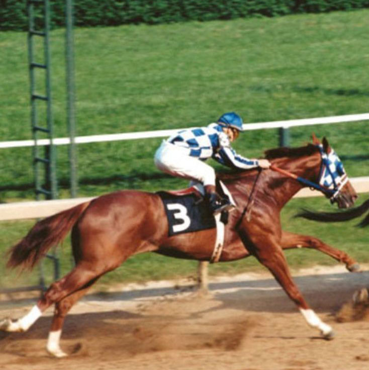 Secretariat-1973-Preakness