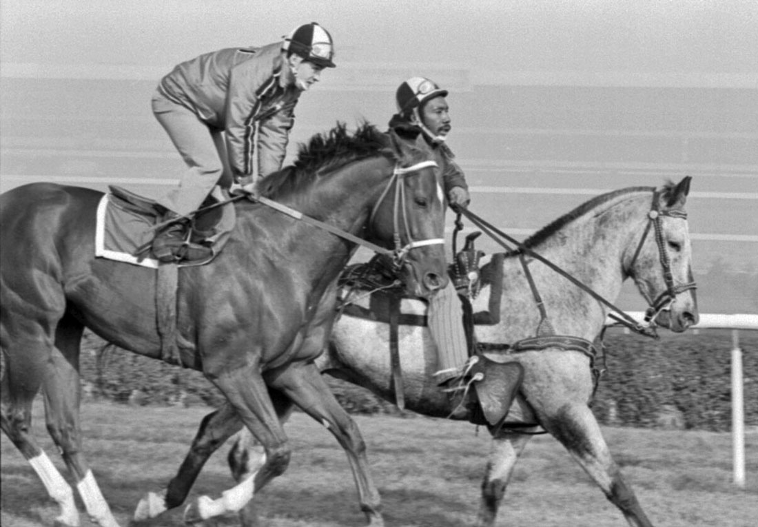 Secretariat_being_exercised_with_another_pony_in_preparation_for-Canadian_International_Stakes_Julien-LeBourdais-wikimedia