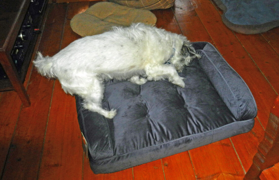 checking new bed photo d stewart